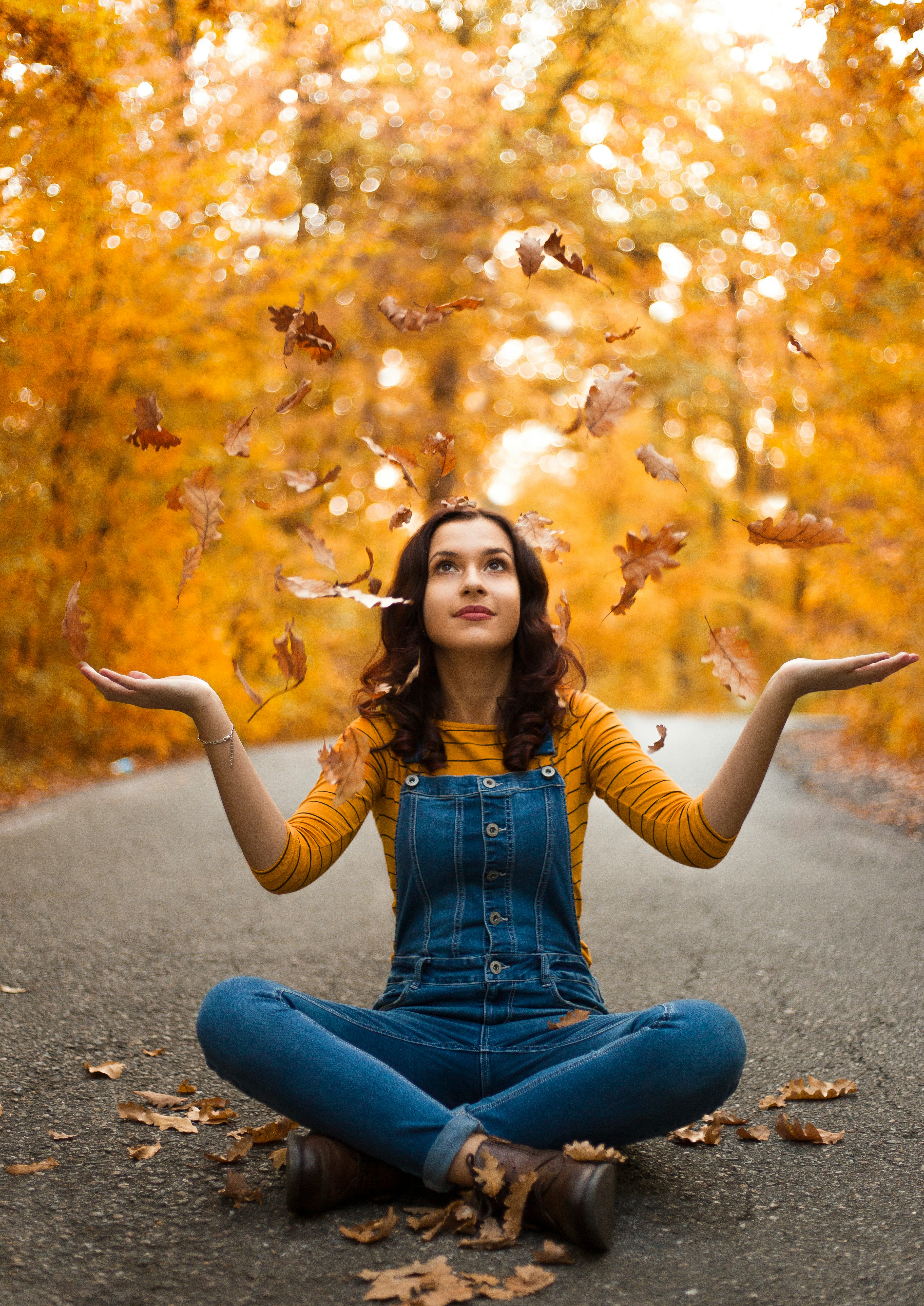 对策风险视觉卡片图