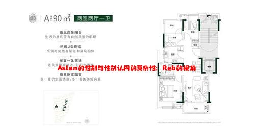 Aslan的性别与性别认同的复杂性：Reb的视角