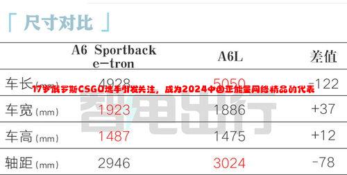 17岁俄罗斯CSGO选手引发关注，成为2024中国正能量网络精品的代表